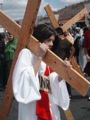 When clicked, Show still image